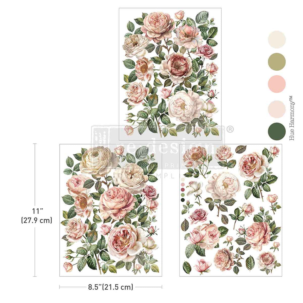 TRANSFER - MIDDY - BLUSH BLOSSOMS - 3 SHEETS - 8.5X11