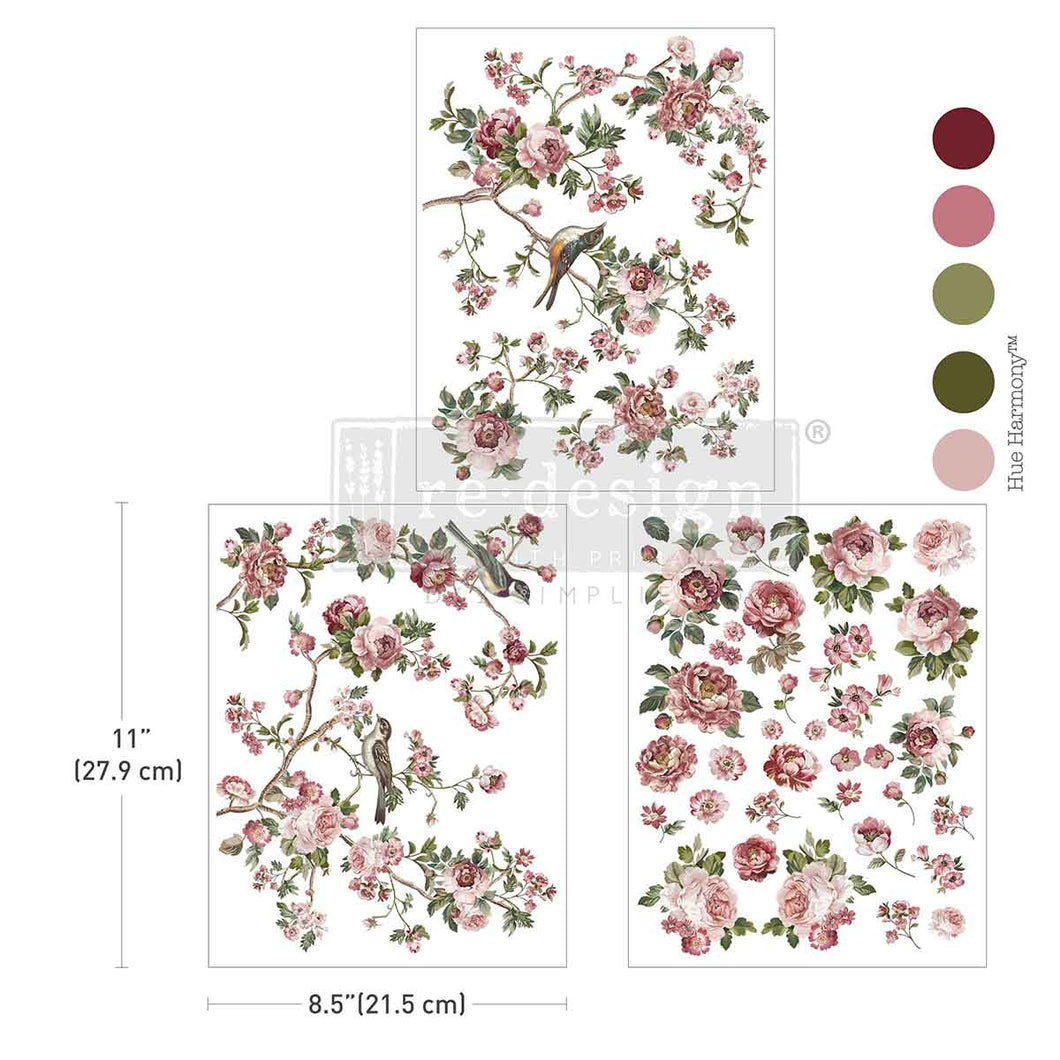 TRANSFER - MAXI - THE ENCHANTED GROVE